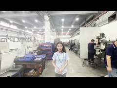 Oficina de processamento de mofo da Jedec Trays